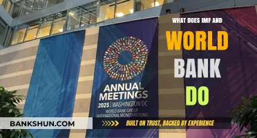 Understanding the IMF and World Bank's Global Economic Roles