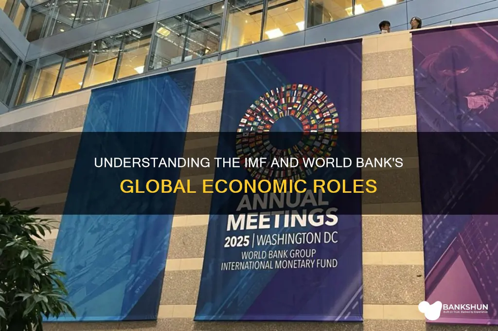 what does imf and world bank do