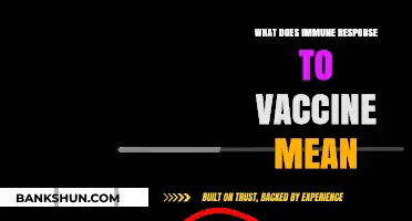 Understanding Immune Response: How Vaccines Trigger Protection Against Diseases