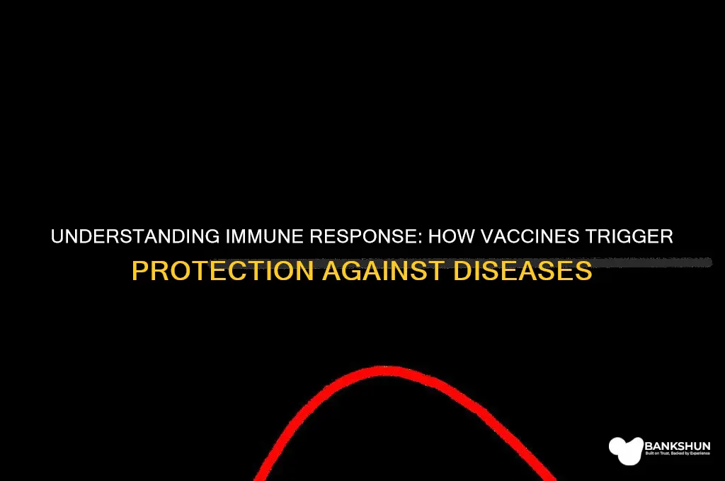 what does immune response to vaccine mean