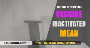 Understanding Inactivated Influenza Virus Vaccines: What Does It Mean?