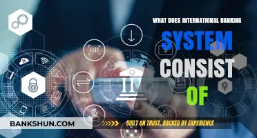 Understanding the Complex Components of the International Banking System