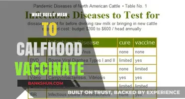 Calfhood Vaccination: Essential Steps for Healthy Herd Immunity