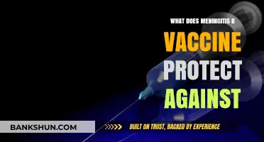 Meningitis B Vaccine: Protection Against Deadly Bacterial Infections Explained