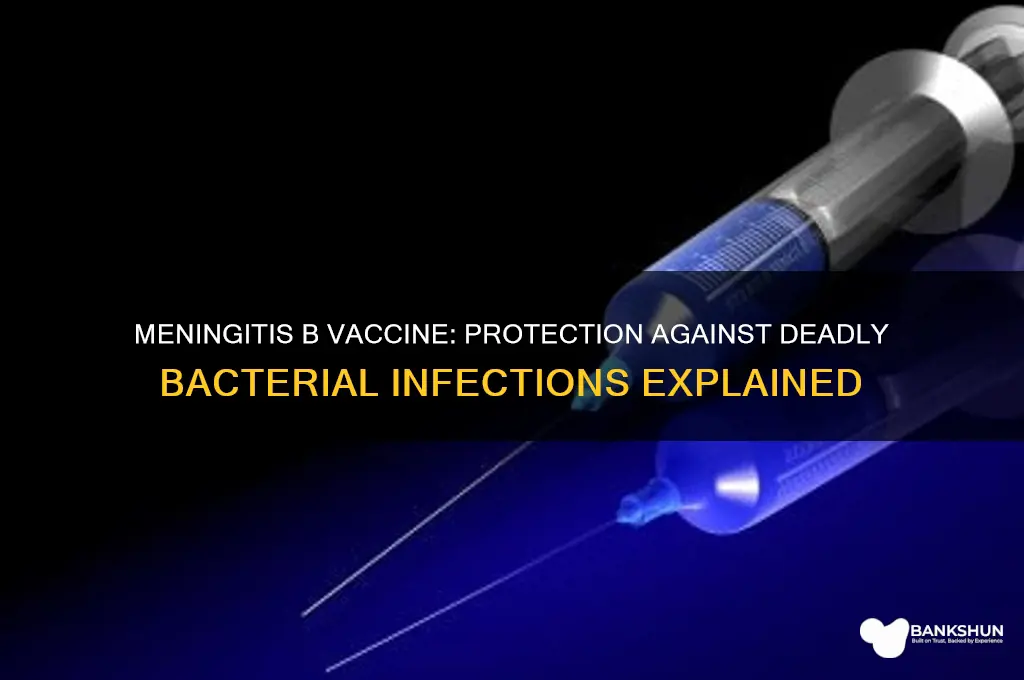 what does meningitis b vaccine protect against