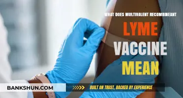 Understanding Multivalent Recombinant Lyme Vaccine: A Comprehensive Breakdown