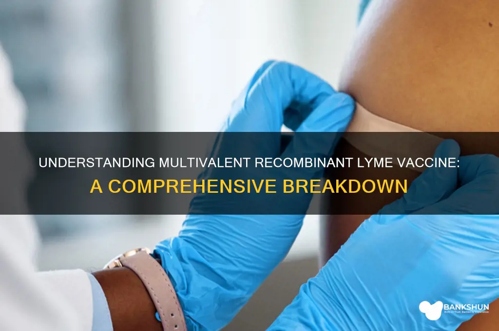 what does multivalent recombineant lyme vaccine mean