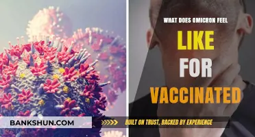 Vaccinated and Facing Omicron: Symptoms, Severity, and Recovery Insights