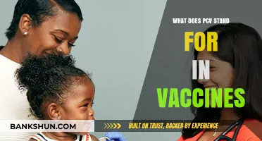 Understanding PCV: What Does PCV Stand for in Vaccines?