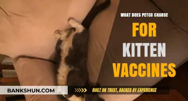 Petco Kitten Vaccines: Cost Breakdown and What to Expect