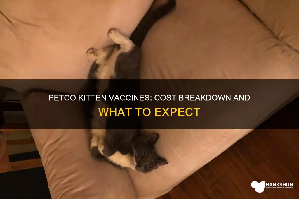 what does petco charge for kitten vaccines