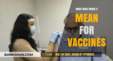 Understanding Phase 3: Key Vaccine Trials and Approval Process Explained