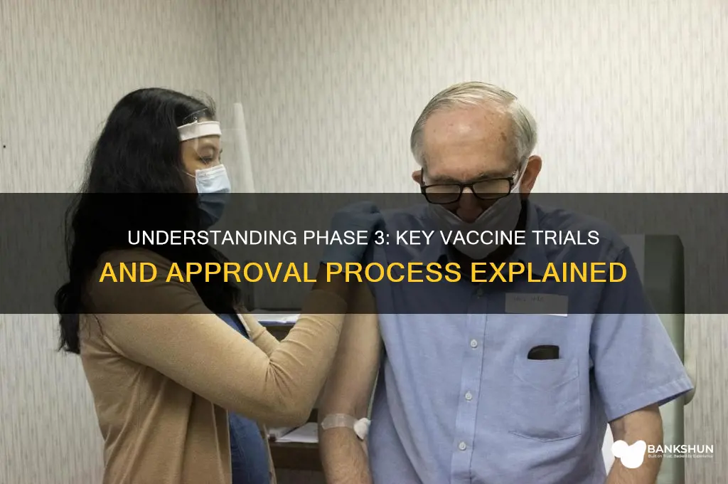 what does phase 3 mean for vaccines