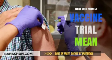 Understanding Phase 3 Vaccine Trials: Key Insights and Implications