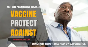 Pneumococcal Conjugate Vaccine: Shielding Against Deadly Bacterial Infections