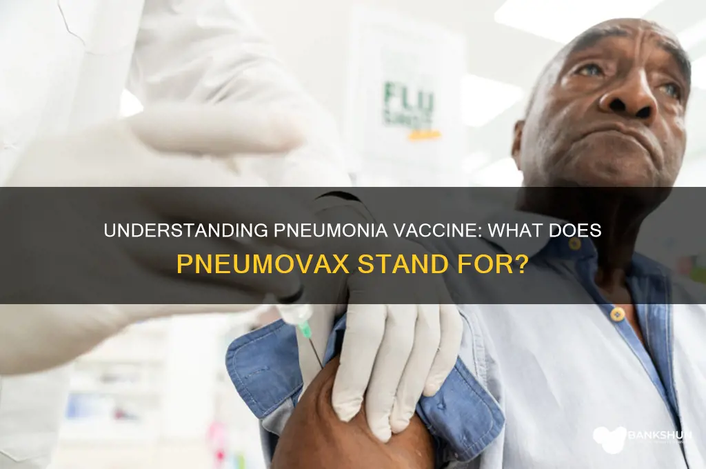 what does pneumonia vaccine pneumovax stand for