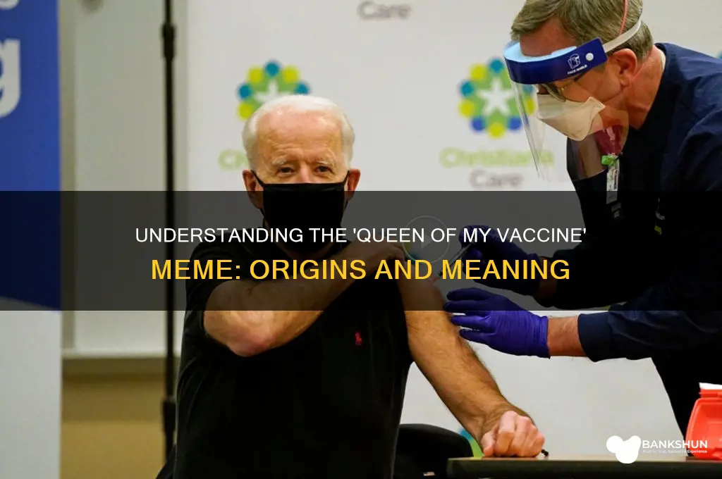 what does queen of my vaccine mean