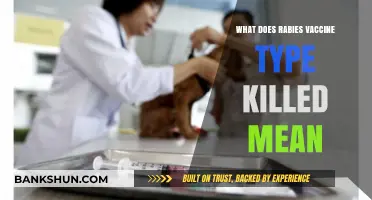 Understanding Killed Rabies Vaccines: What Does 'Killed' Mean for Protection?