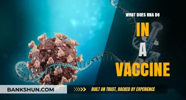 Understanding RNA's Role in Modern Vaccines: Function and Impact