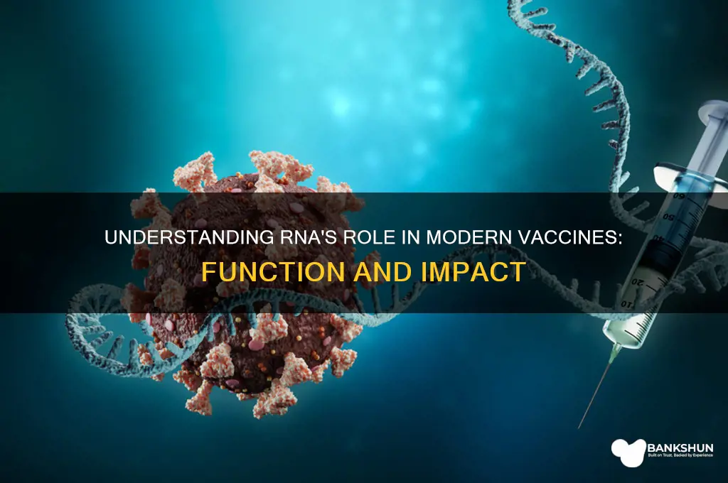 what does rna do in a vaccine