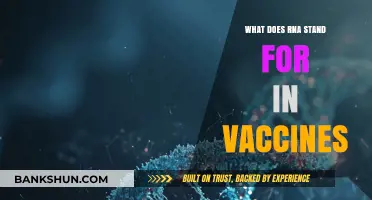 Understanding RNA in Vaccines: Definition, Role, and Benefits Explained