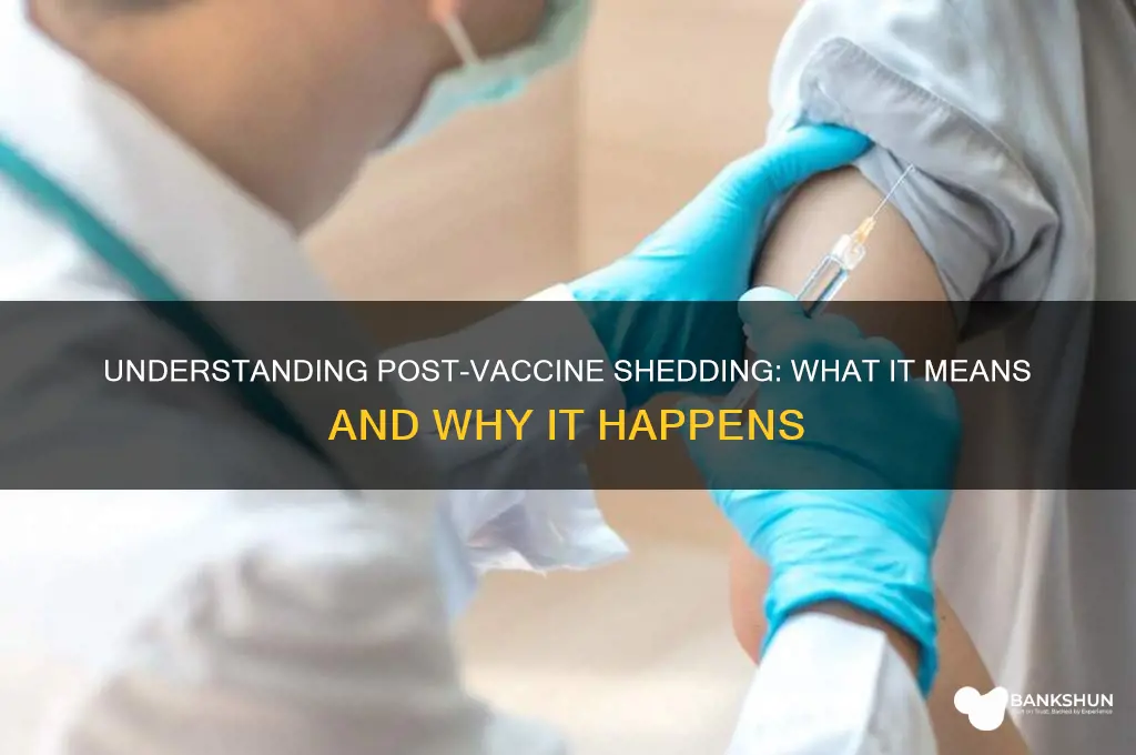 what does shedding after a vaccine mean