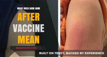 Understanding Sore Arm After Vaccine: Causes, Concerns, and Remedies
