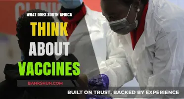South Africa's Vaccine Perspectives: Public Opinions, Concerns, and Trust
