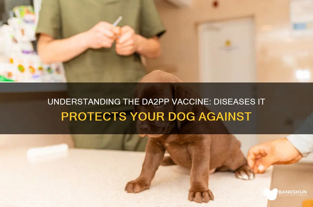 what does te da2pp vaccine protect against