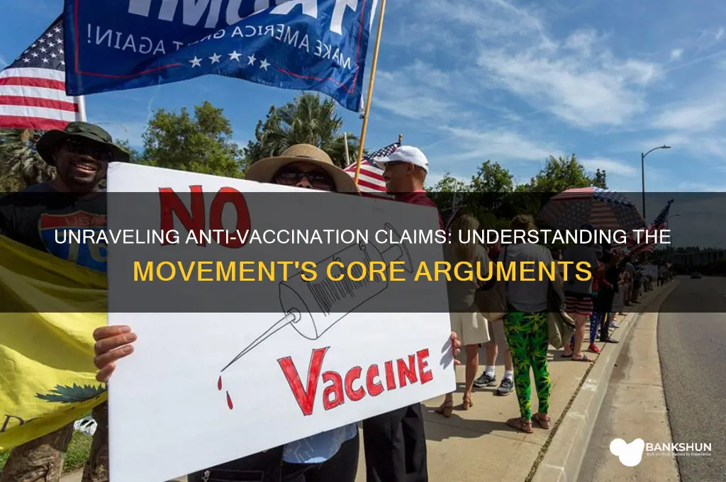 what does the anti-vaccination movement say