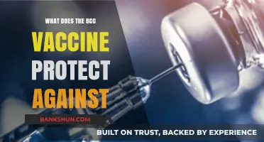 BCG Vaccine: Diseases It Protects Against and Its Importance