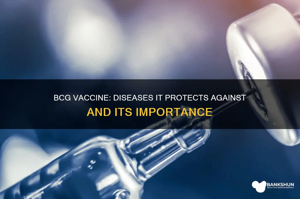 what does the bcg vaccine protect against