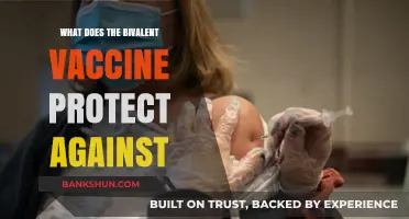 Bivalent Vaccine Protection: Understanding Its Defense Against COVID-19 Variants