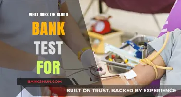 Blood Bank Testing: What's Being Checked?