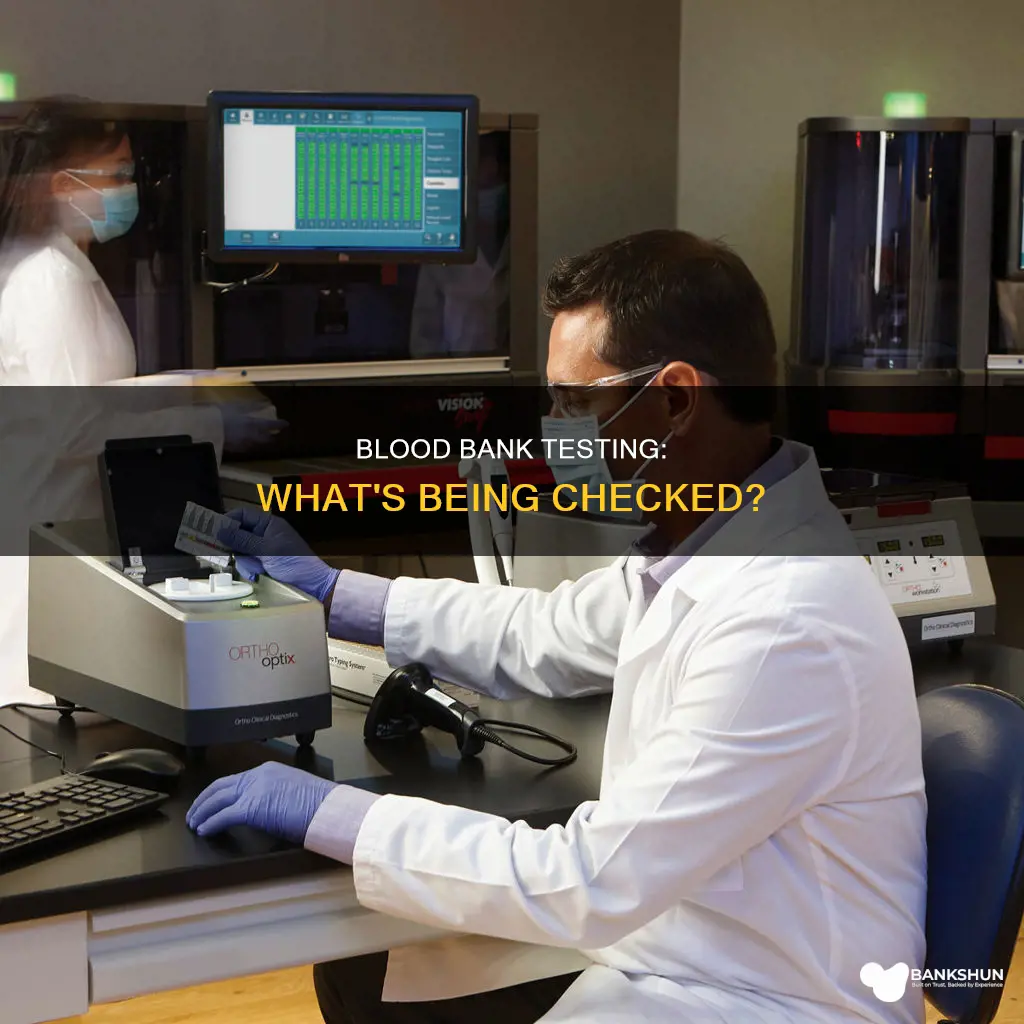 what does the blood bank test for