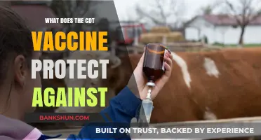 CDT Vaccine: Protecting Livestock Against Clostridial Diseases Effectively