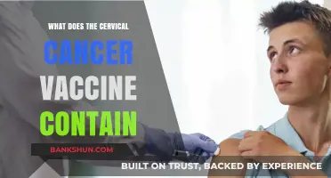 Cervical Cancer Vaccine Ingredients: Understanding What's Inside the HPV Shot