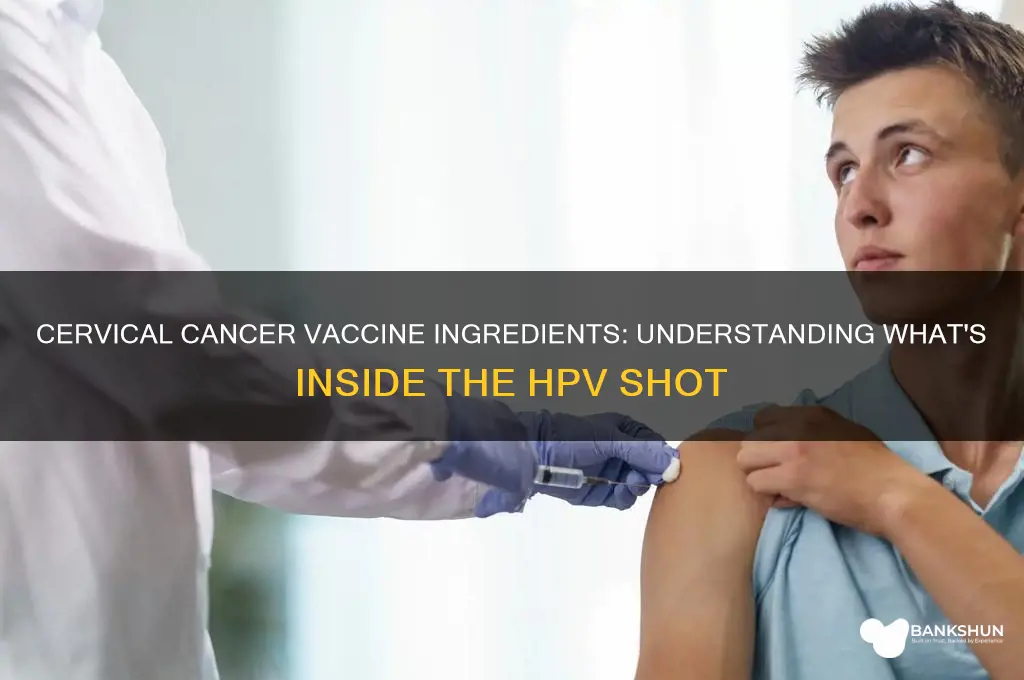 what does the cervical cancer vaccine contain