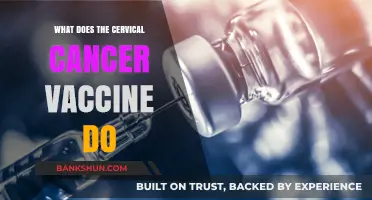 Understanding the Cervical Cancer Vaccine: Benefits, Function, and Importance