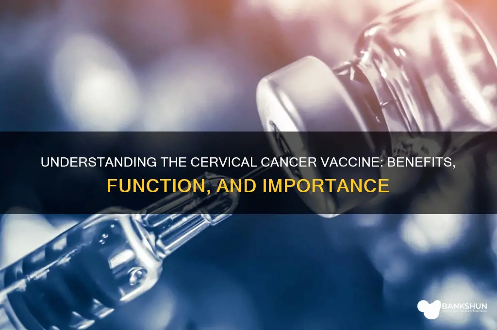 what does the cervical cancer vaccine do