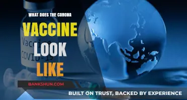 Unveiling the Corona Vaccine: Appearance, Composition, and Function Explained