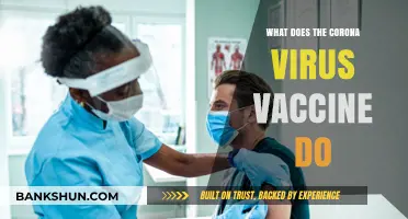 Understanding the COVID-19 Vaccine: How It Protects Against Coronavirus