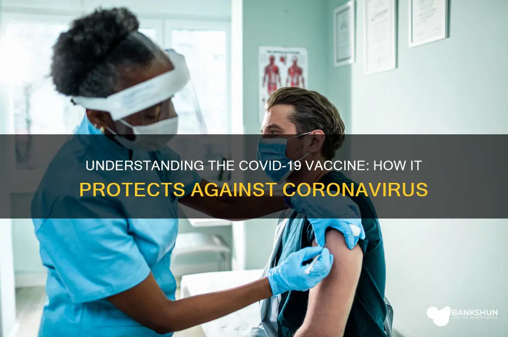 what does the corona virus vaccine do