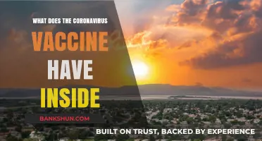 Unveiling the Ingredients: What's Inside the Coronavirus Vaccine?