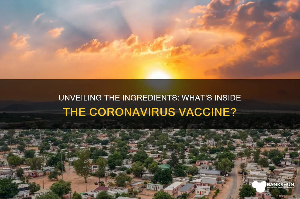 what does the coronavirus vaccine have inside