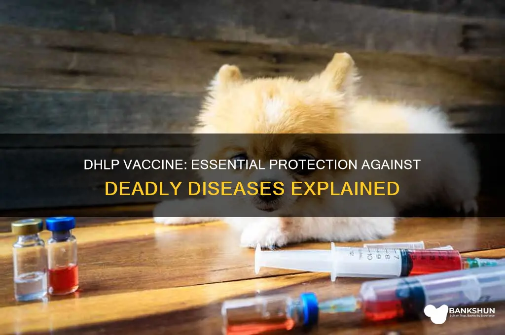 what does the dhlp vaccine protect against