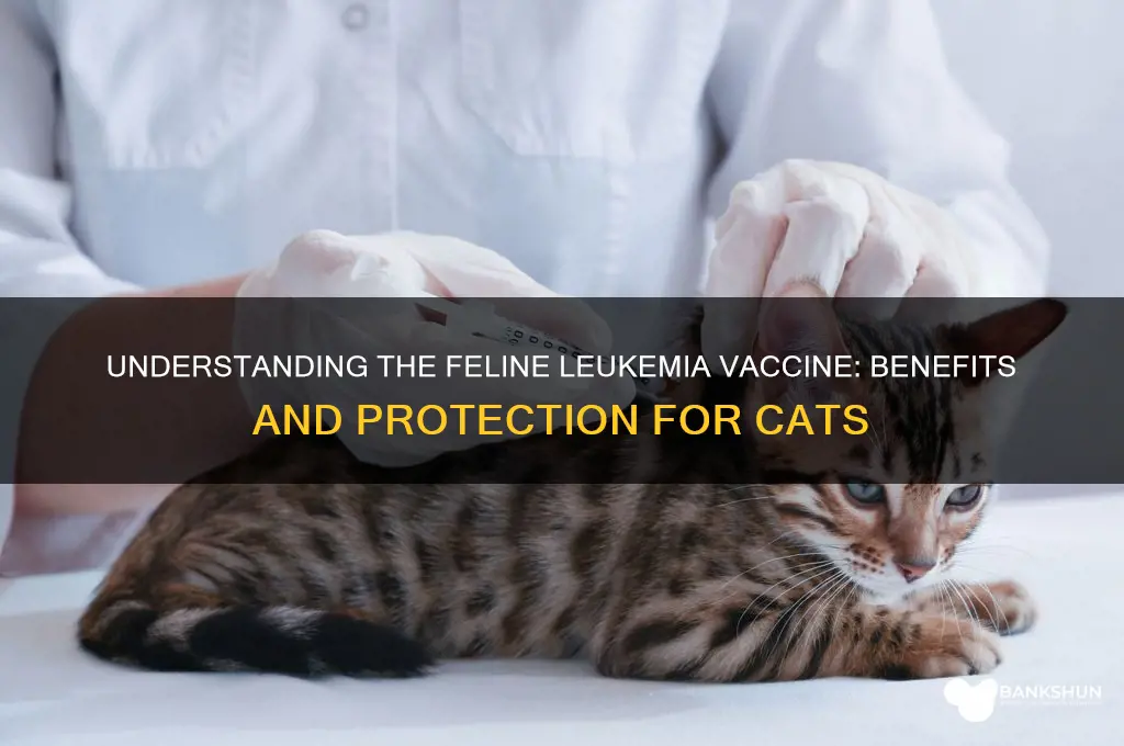 what does the feline leukemia vaccine do