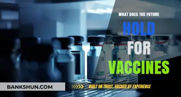 The Future of Vaccines: Innovations, Challenges, and Global Health Impact