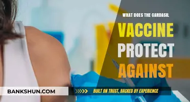 Gardasil Vaccine: Protecting Against HPV-Related Cancers and Diseases