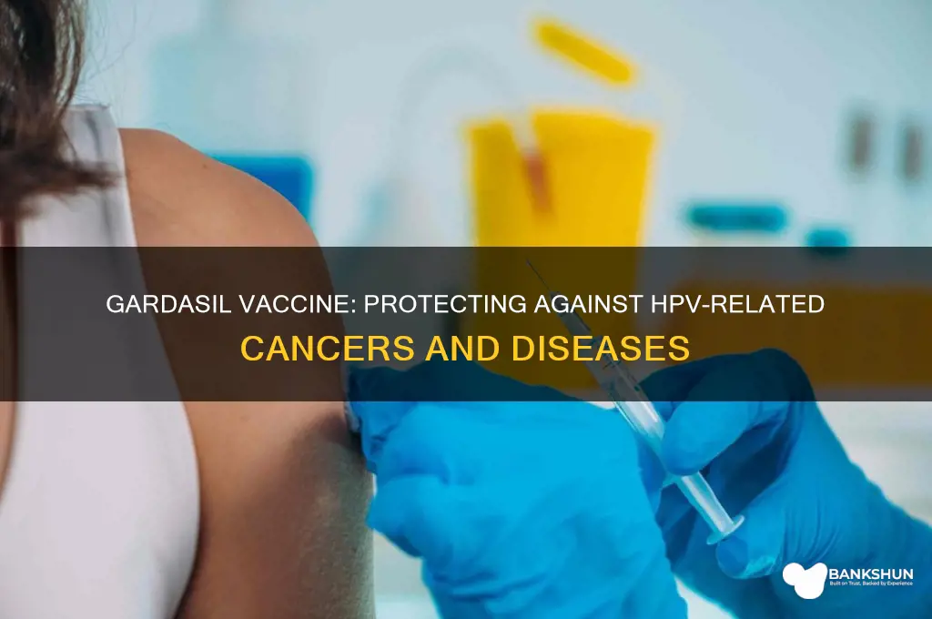 what does the gardasil vaccine protect against
